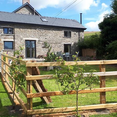 Buzzards Breg Villa Builth Wells Ngoại thất bức ảnh