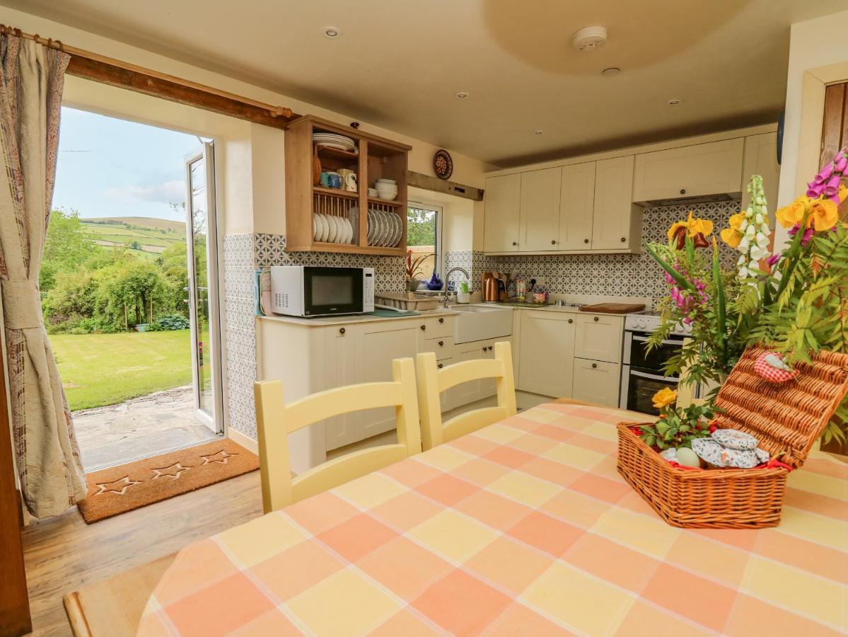 Buzzards Breg Villa Builth Wells Ngoại thất bức ảnh
