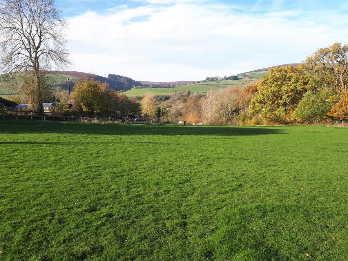 Buzzards Breg Villa Builth Wells Ngoại thất bức ảnh